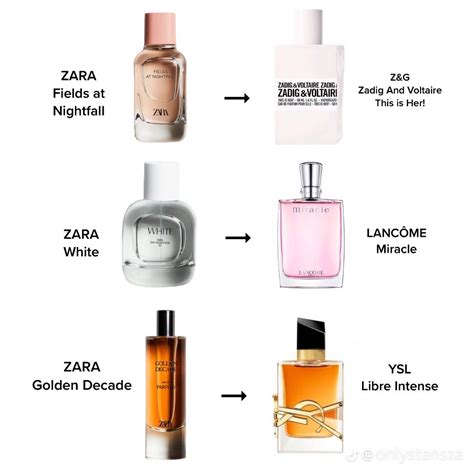 zara dupe yves saint laurent|10 Zara Perfumes That Are Great Dupes to Designer .